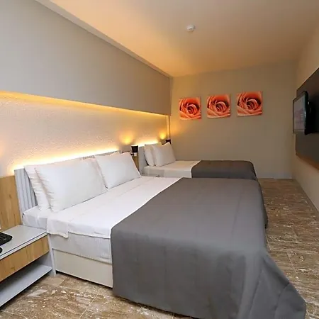 Ariel Otel 4*
